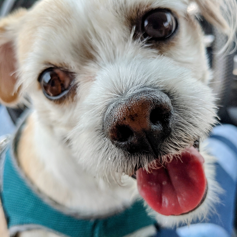 Meet the artists, Zap & Zam Designs